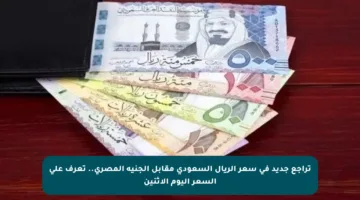 تراجع جديد في سعر الريال السعودي مقابل الجنيه المصري.. تعرف على السعر اليوم الإثنين